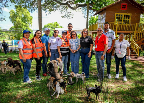 Alcaldía de Santiago celebra sexta Feria de Adopción Canina   .