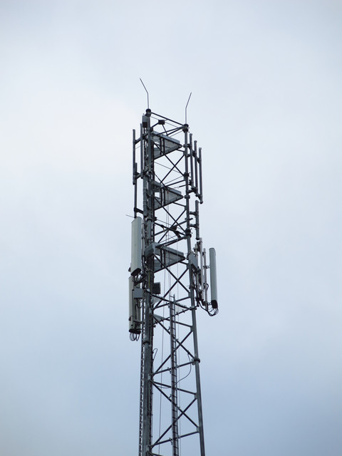 IMG-4744