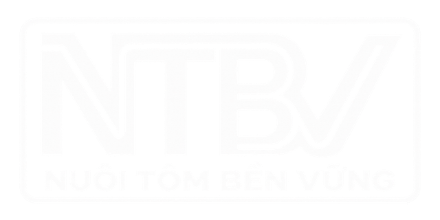 LOGO NTBV V4 TRANG.png