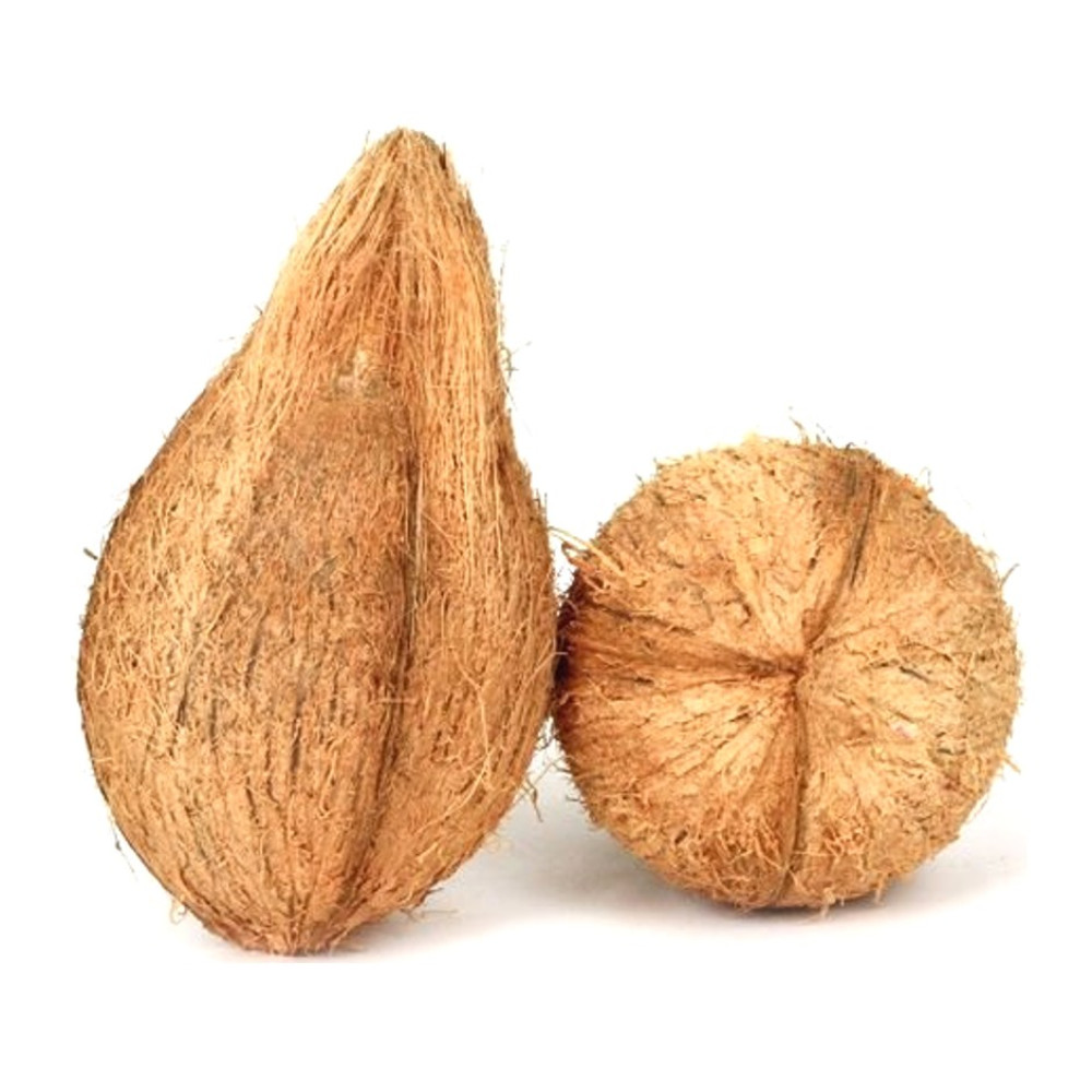 Coconut / ತೆಂಗಿನಕಾಯಿ 
