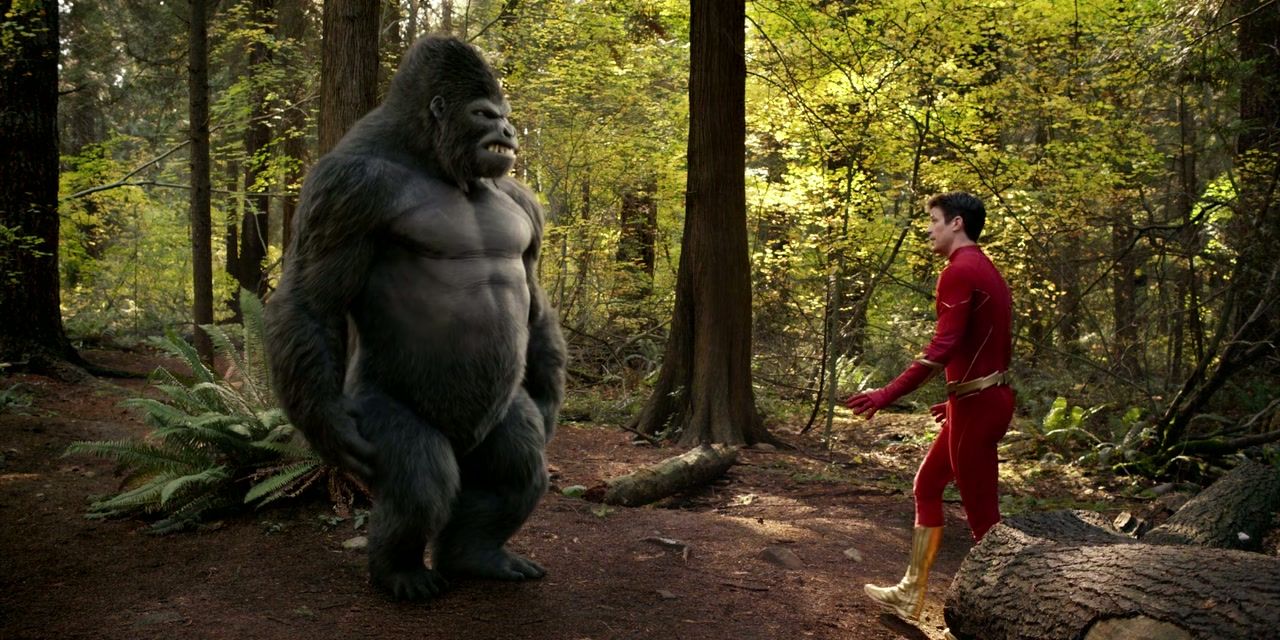 The Flash Screenshot