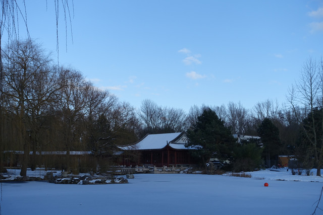 DSC09813.jpg