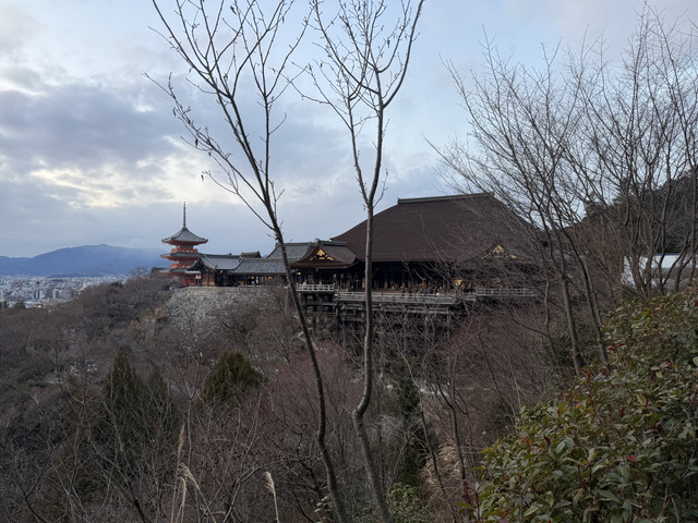 IMG-1848.jpg