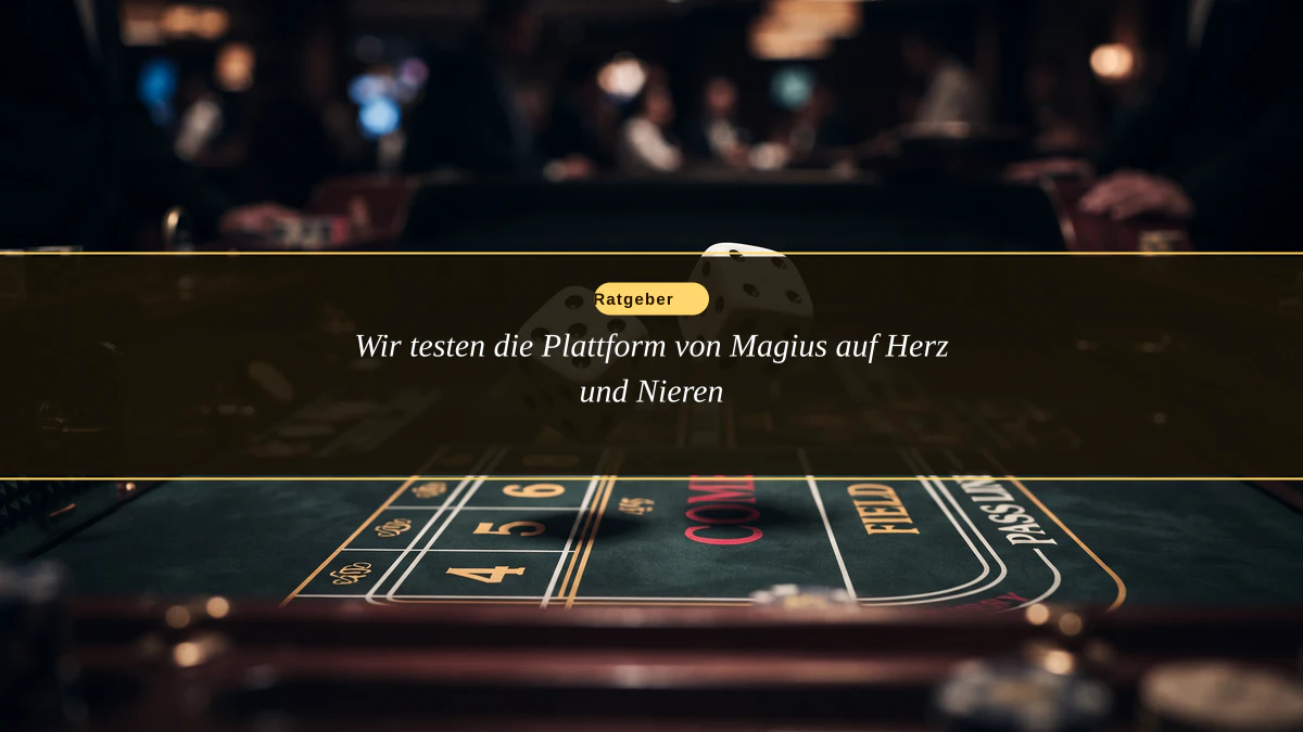 Wir testen die Plattform von Magius auf Herz und Nieren