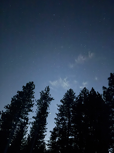 star night