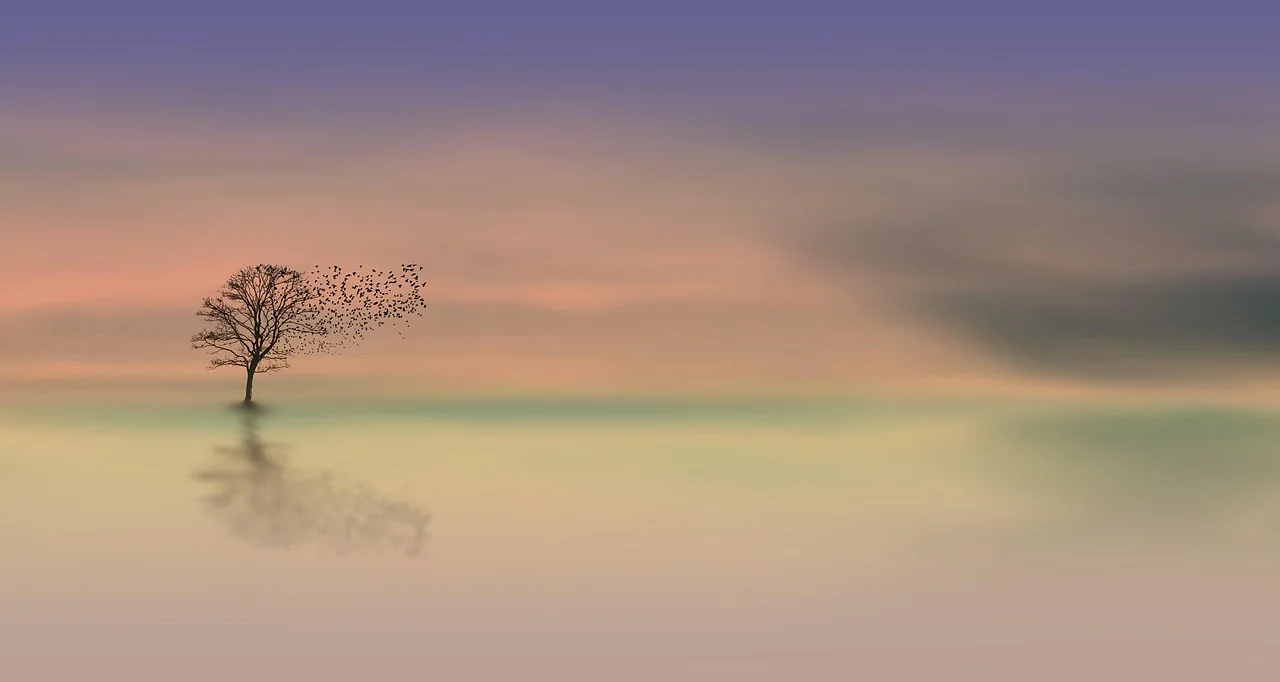High quality Pastel Sunset Sky wallpaper by NoName_13 from Pixabay