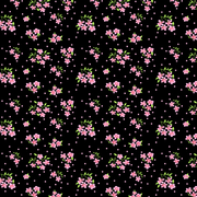 D 02