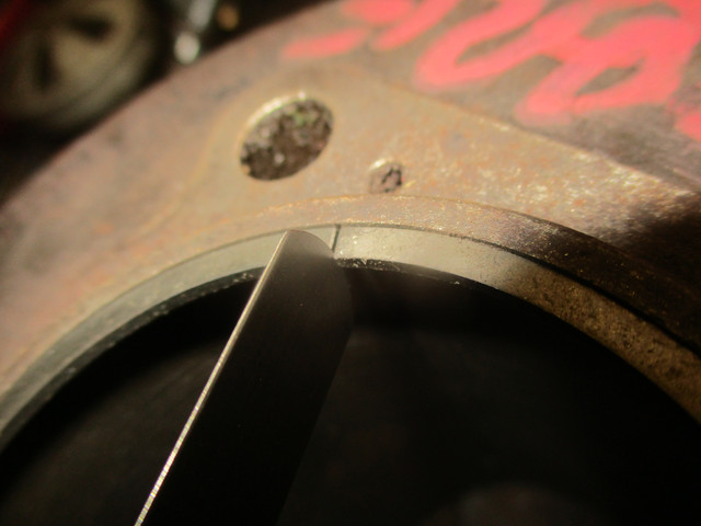 IMG-0495.jpg