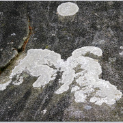 IMGP1938b