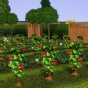 Screenshot 00