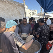 IMG 4221