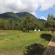 IMG 0478