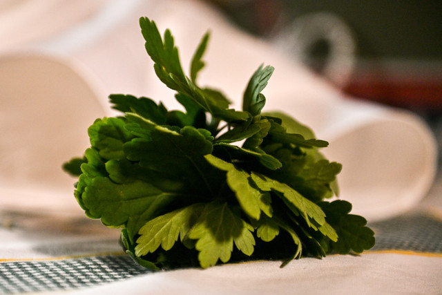 pic 16.jpg