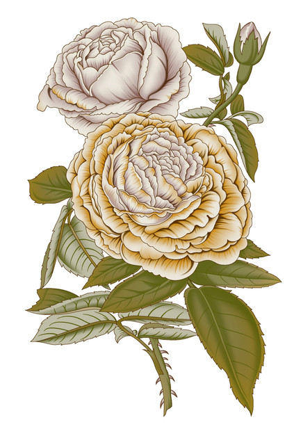 Inked5d7888c2b4e9e LI.jpg