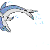 delfin29