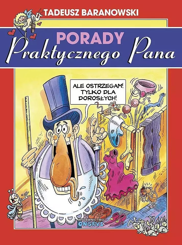 Porady Praktycznego Pana, wydanie 2