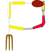 p