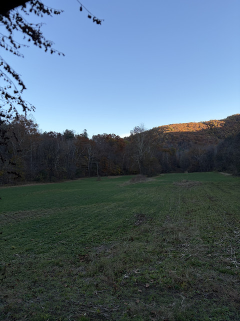IMG-8023
