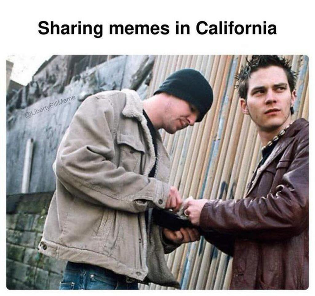 c6df72af960a8ed3