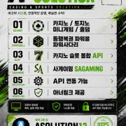 casinosolution online guide