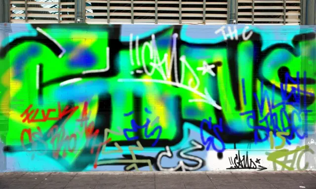 Graffiti artwork by CANS