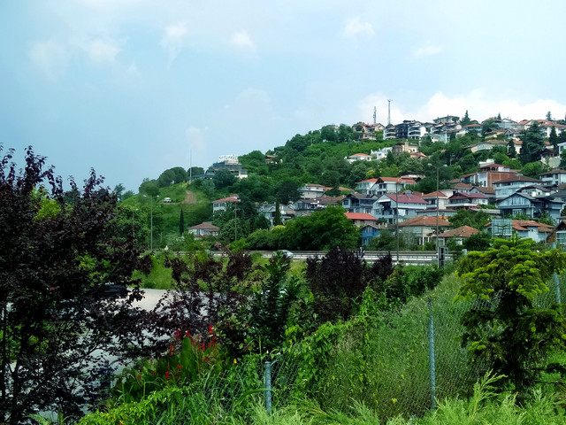 IMG20230707142448