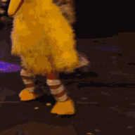 ezgif-com-resize-2.gif