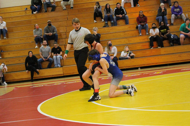 IMG-0291