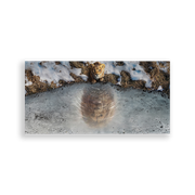 704636-Mufasa-Ana