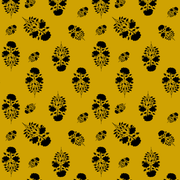 55 (1)