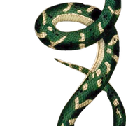 782225b58a3b4aea4d063e42b0db0f0c removebg preview