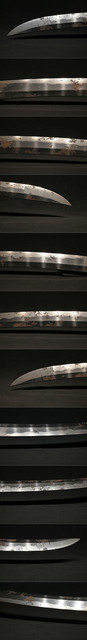 DSC8950.jpg