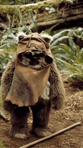 https://i.ibb.co/hSRHfm7/Timeline-1.gif