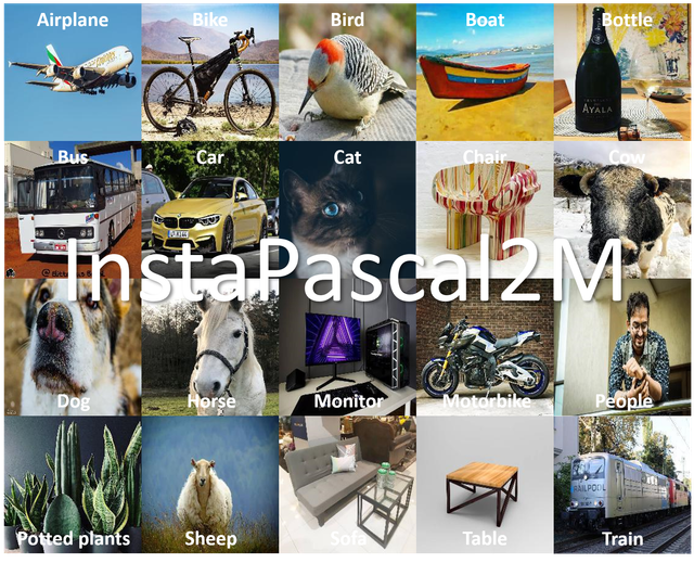Insta-Pascal2-M