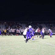 IMG-1350