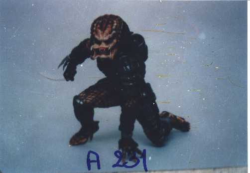 A231