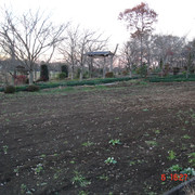 2008-12-06-108