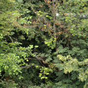 DSC5406-result