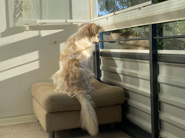 BF757-C98-7817-476-A-A892-20-FC822-CA91-