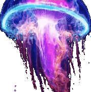 2419611-Vvw-XPd-GS.gif