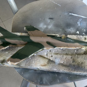 IMG-0133