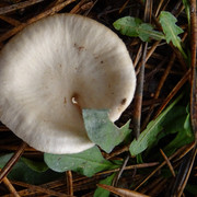 DSC00052