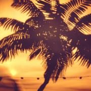 3DX Nature