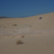 DSCF8548