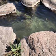 IMG-6123
