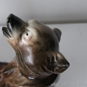 IMG-3366