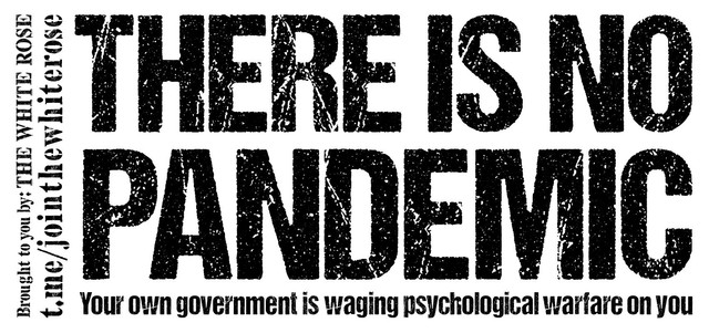 There-Is-No-Pandemic
