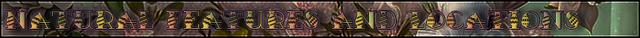 Spring-annals-headers-nat-features.png
