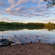 Swim-2