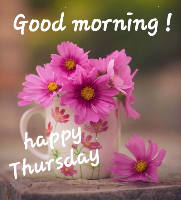 thursday-21